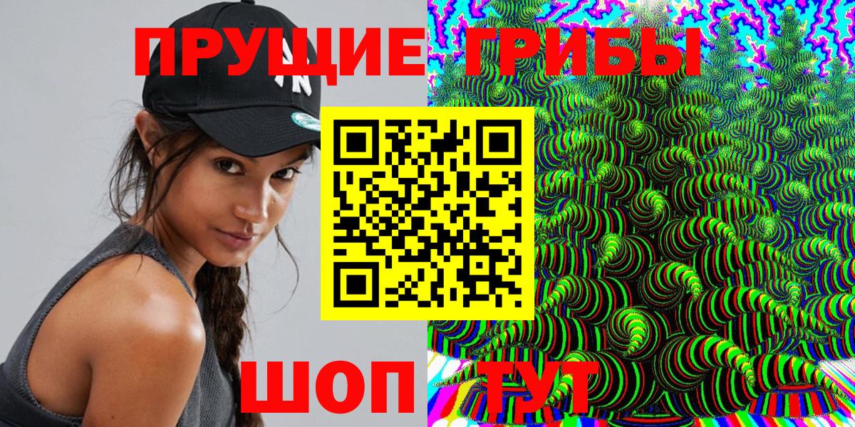 Псилоцибиновые грибы Psilocybe Кимры