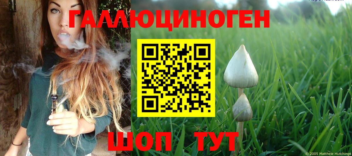 где купить   Псилоцибиновые грибы прущие грибы  Вход с VPN  Кимры 